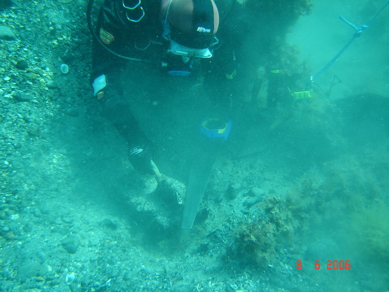  Timber samples being recovered for dendrochronological analysis   